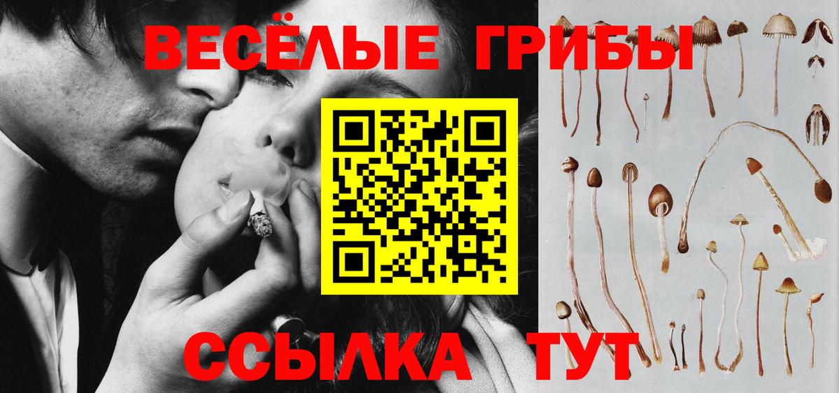 Кстово  Галлюциногенные грибы GOLDEN TEACHER  Вход с VPN 