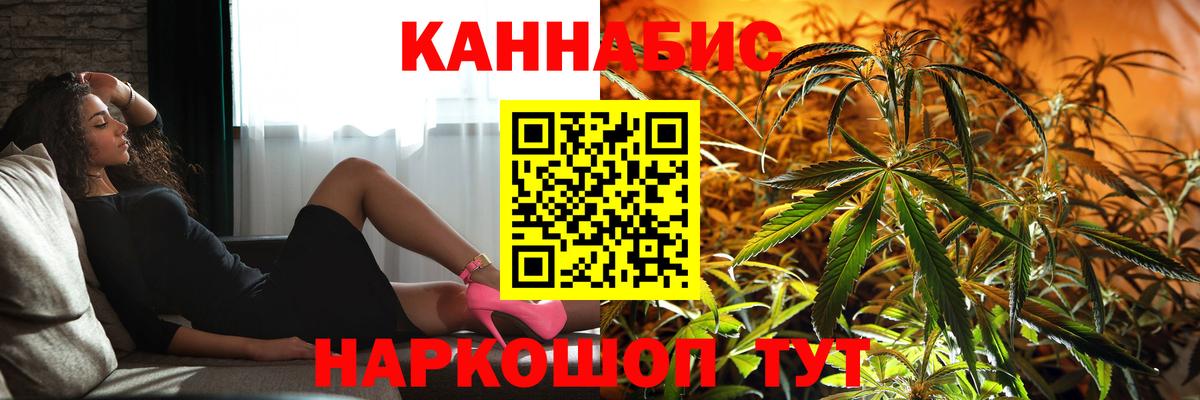 Каннабис планчик Кстово